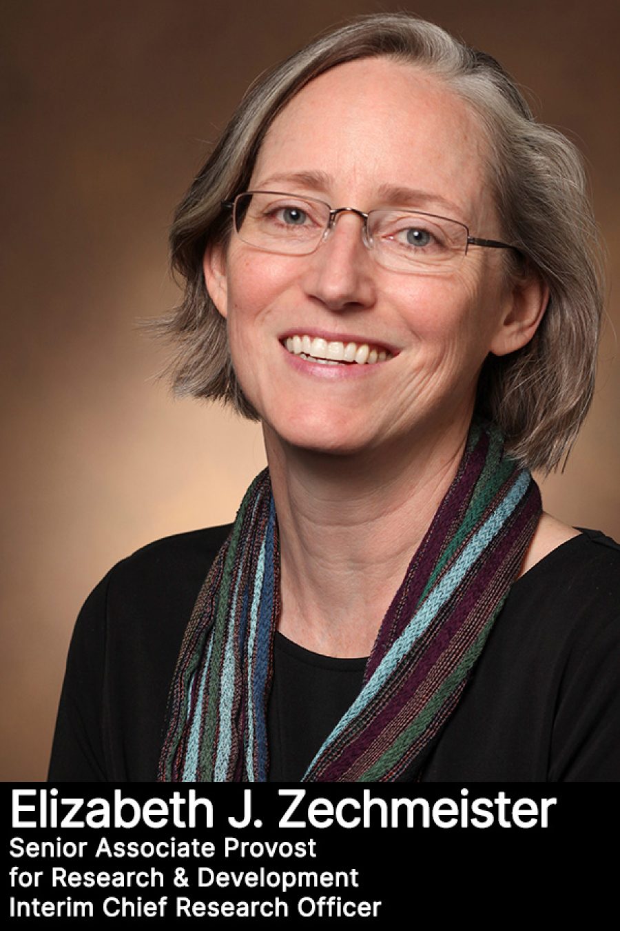 Elizabeth J. Zechmeister, Ph.D., Senior Associate Provost for Research & Development and Interim Chief Research Officer